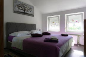 Apartman Rajna